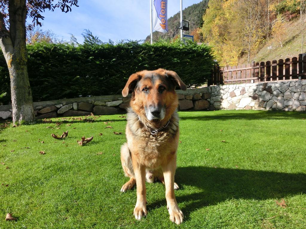 Zur Muehle Wohlfuehloase Trodena Exterior foto